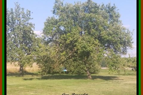 Landejendom i Courcelles-lès-Semur, Cote-d'Or, Courcelles-lès-Semur - € 375.000 | Ref: 340931531217 - foto 17