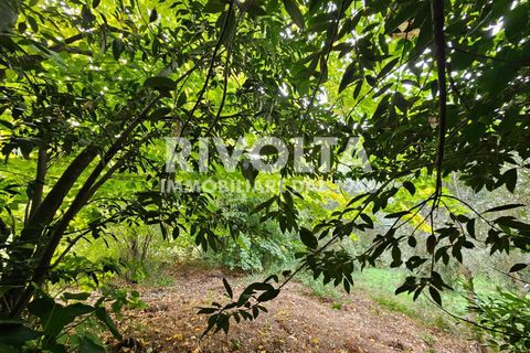 Villa i Terni, Terni, Terni - € 450.000 | Ref: MRL - AAG Terni - foto 27