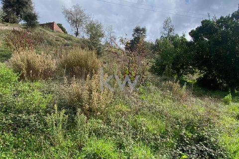 Villa i Pombal, Leiria, Pombal - € 22.000 | Ref: KWPT-005095 - foto 13