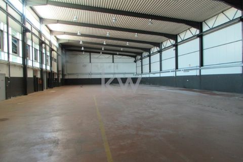 Erhvervsejendom i Ourem, Santarem, Ourem - € 1.500.000 | Ref: KWPT-005972 - foto 5