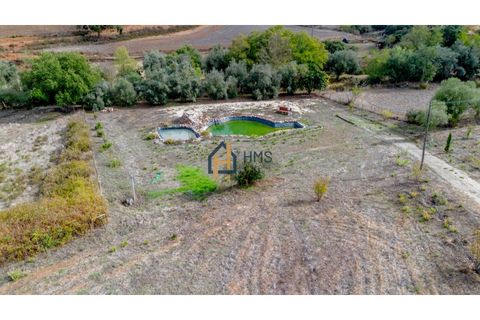 Helårsgrund i Odemira, Beja, Odemira - € 99.000 | Ref: HMSTR171 - foto 17
