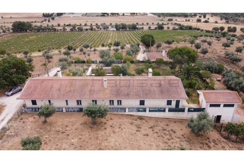 Landejendom i Estremoz, Evora, Estremoz - € 1.200.000 | Ref: P4860 - foto 3