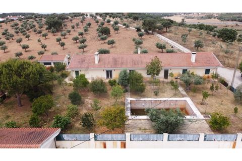 Landejendom i Estremoz, Evora, Estremoz - € 1.200.000 | Ref: P4860 - foto 4