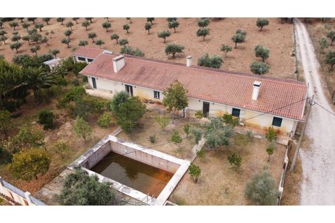 Landejendom i Estremoz, Evora, Estremoz - € 1.200.000 | Ref: P4860 - foto 5