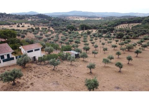 Landejendom i Estremoz, Evora, Estremoz - € 1.200.000 | Ref: P4860 - foto 6
