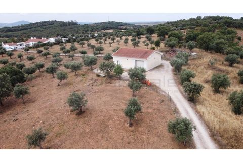 Landejendom i Estremoz, Evora, Estremoz - € 1.200.000 | Ref: P4860 - foto 9