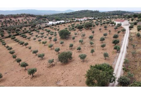 Landejendom i Estremoz, Evora, Estremoz - € 1.200.000 | Ref: P4860 - foto 10