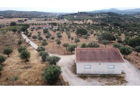 Landejendom i Estremoz, Evora, Estremoz - € 1.200.000 | Ref: P4860 - foto 12