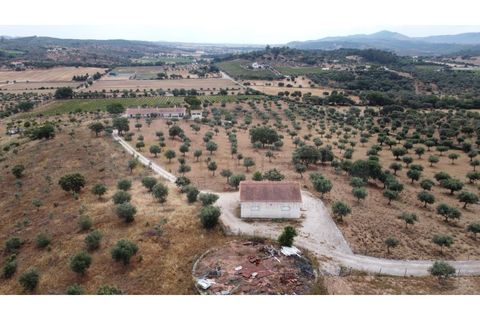 Landejendom i Estremoz, Evora, Estremoz - € 1.200.000 | Ref: P4860 - foto 13