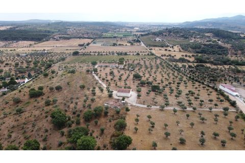 Landejendom i Estremoz, Evora, Estremoz - € 1.200.000 | Ref: P4860 - foto 15