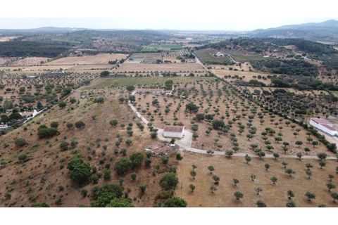 Landejendom i Estremoz, Evora, Estremoz - € 1.200.000 | Ref: P4860 - foto 16