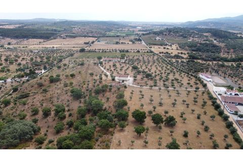 Landejendom i Estremoz, Evora, Estremoz - € 1.200.000 | Ref: P4860 - foto 17
