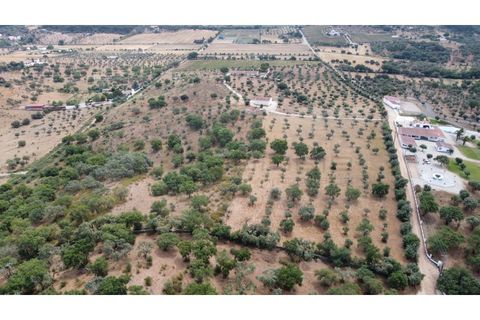 Landejendom i Estremoz, Evora, Estremoz - € 1.200.000 | Ref: P4860 - foto 18