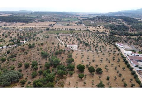 Landejendom i Estremoz, Evora, Estremoz - € 1.200.000 | Ref: P4860 - foto 19