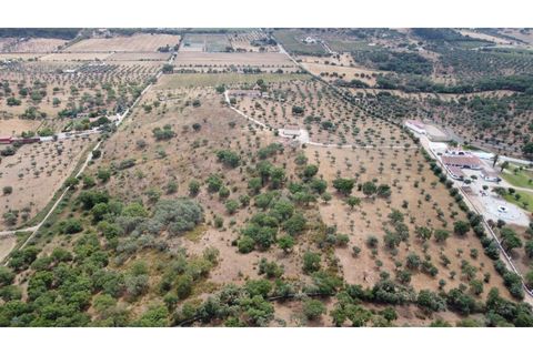 Landejendom i Estremoz, Evora, Estremoz - € 1.200.000 | Ref: P4860 - foto 20