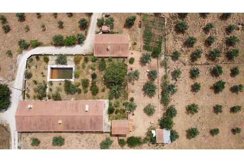 Landejendom i Estremoz, Evora, Estremoz - € 1.200.000 | Ref: P4860 - foto 21