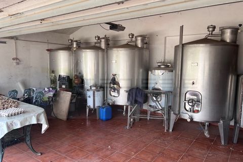 Landejendom i Estremoz, Evora, Estremoz - € 1.200.000 | Ref: P4860 - foto 26
