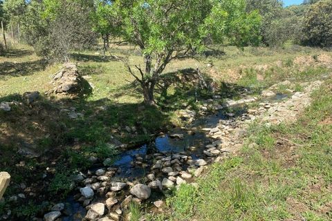 Tomt i Terrugem e Vila Boim, Portalegre, Terrugem e Vila Boim - € 22 500 | Ref: MAX-215-24 - foto 2