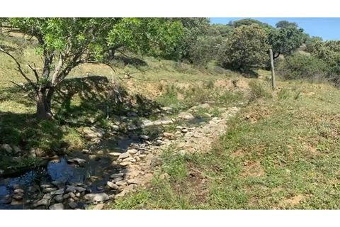 Tomt i Terrugem e Vila Boim, Portalegre, Terrugem e Vila Boim - € 22 500 | Ref: MAX-215-24 - foto 9
