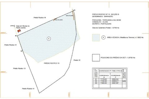 Tomt i Terrugem e Vila Boim, Portalegre, Terrugem e Vila Boim - € 22 500 | Ref: MAX-215-24 - foto 10