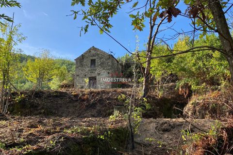 Farm i Seia, Guarda, Seia - € 35.000 | Ref: 25033 - foto 1