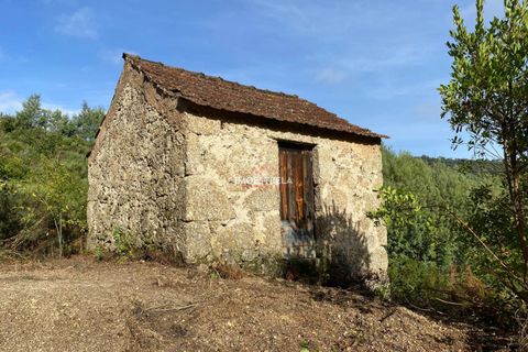 Farm i Seia, Guarda, Seia - € 35.000 | Ref: 25033 - foto 2