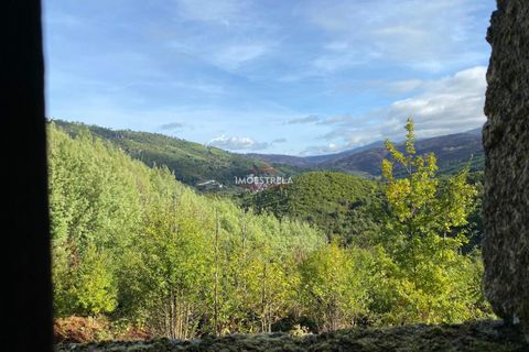 Farm i Seia, Guarda, Seia - € 35.000 | Ref: 25033 - foto 3