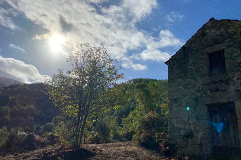 Farm i Seia, Guarda, Seia - € 35.000 | Ref: 25033 - foto 4