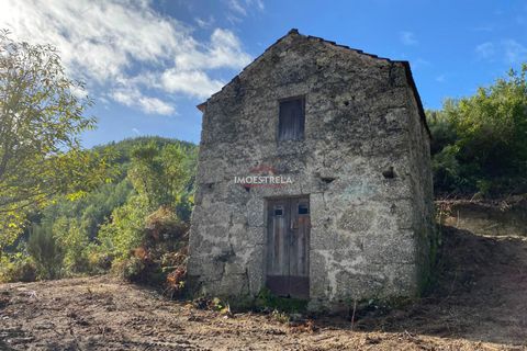 Farm i Seia, Guarda, Seia - € 35.000 | Ref: 25033 - foto 5