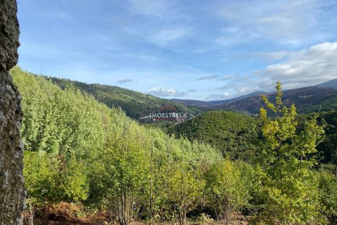 Farm i Seia, Guarda, Seia - € 35.000 | Ref: 25033 - foto 6