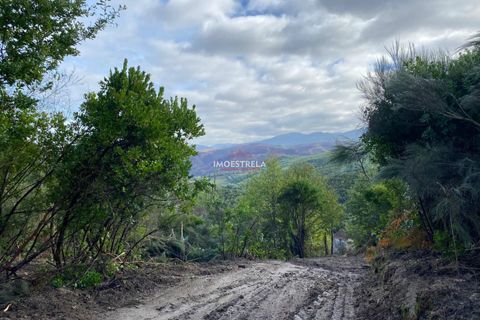 Farm i Seia, Guarda, Seia - € 35.000 | Ref: 25033 - foto 8
