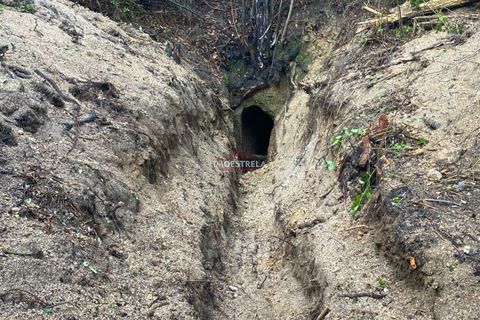 Farm i Seia, Guarda, Seia - € 35.000 | Ref: 25033 - foto 9