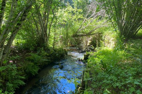 Farm i Seia, Guarda, Seia - € 27.000 | Ref: 25032 - foto 1