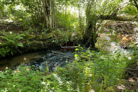 Farm i Seia, Guarda, Seia - € 27.000 | Ref: 25032 - foto 2