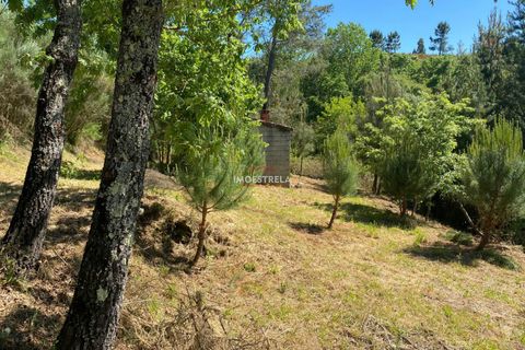 Farm i Seia, Guarda, Seia - € 27.000 | Ref: 25032 - foto 3