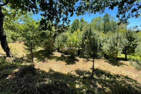 Farm i Seia, Guarda, Seia - € 27.000 | Ref: 25032 - foto 4
