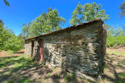 Farm i Seia, Guarda, Seia - € 27.000 | Ref: 25032 - foto 5
