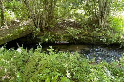 Farm i Seia, Guarda, Seia - € 27.000 | Ref: 25032 - foto 6