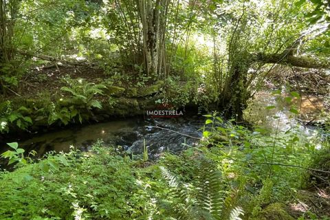 Farm i Seia, Guarda, Seia - € 27.000 | Ref: 25032 - foto 8