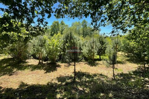 Farm i Seia, Guarda, Seia - € 27.000 | Ref: 25032 - foto 9