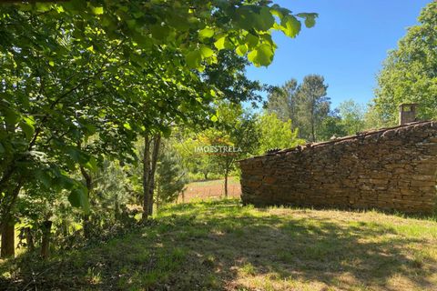 Farm i Seia, Guarda, Seia - € 27.000 | Ref: 25032 - foto 10