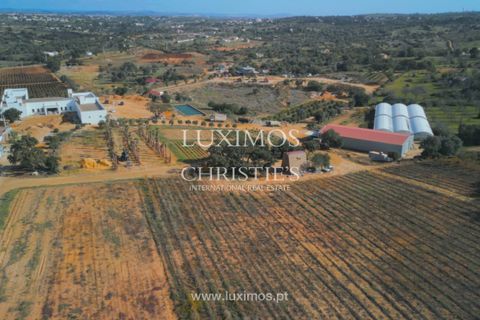 Farm i Albufeira, Faro, Albufeira - € 15.000.000 | Ref: 1LS02293 - foto 29