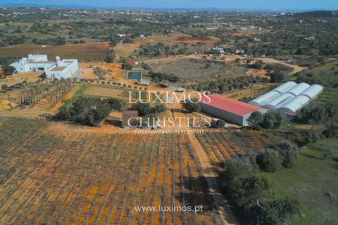 Farm i Albufeira, Faro, Albufeira - € 15.000.000 | Ref: 1LS02293 - foto 30