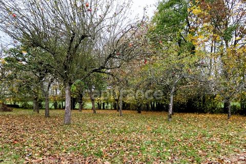 Landejendom i Danze, Loir-et-Cher, Danze - € 115.000 | Ref: 340934594115 - foto 10