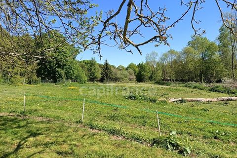 Villa a Villechétive, Yonne, Villechétive - € 299.900 | Ref: 340934613625 - foto 31