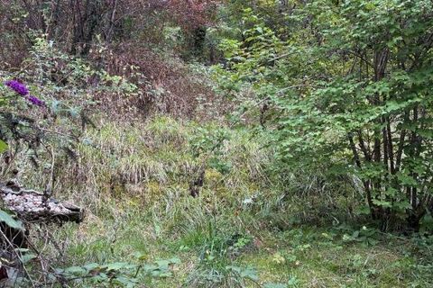 Villa a Figeac, Lot, Figeac - € 165.000 | Ref: F9430838D50B4E36 - foto 11