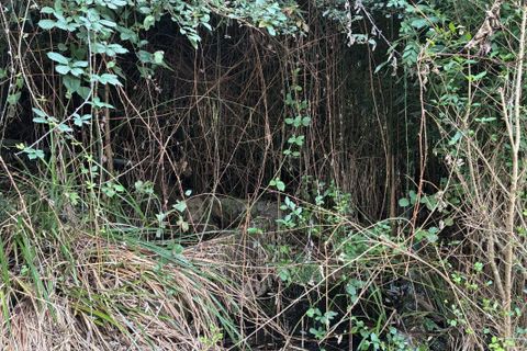Villa a Figeac, Lot, Figeac - € 165.000 | Ref: F9430838D50B4E36 - foto 15
