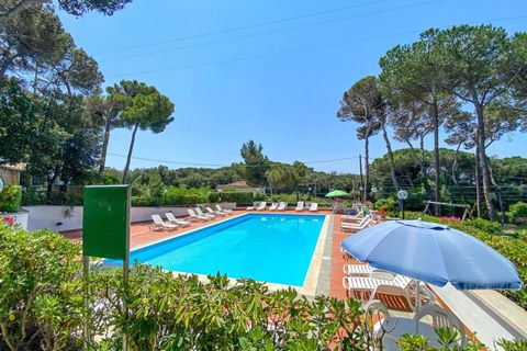 Lejlighed i Rosignano Marittimo, Livorno, Rosignano Marittimo - € 109.000 | Ref: C622 - foto 1