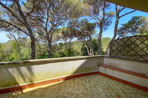 Lejlighed i Rosignano Marittimo, Livorno, Rosignano Marittimo - € 109.000 | Ref: C622 - foto 10