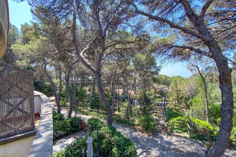 Lejlighed i Rosignano Marittimo, Livorno, Rosignano Marittimo - € 109.000 | Ref: C622 - foto 11